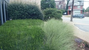 view from office window